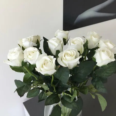 Black White Appartement