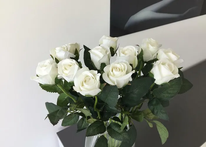 Black White דירה